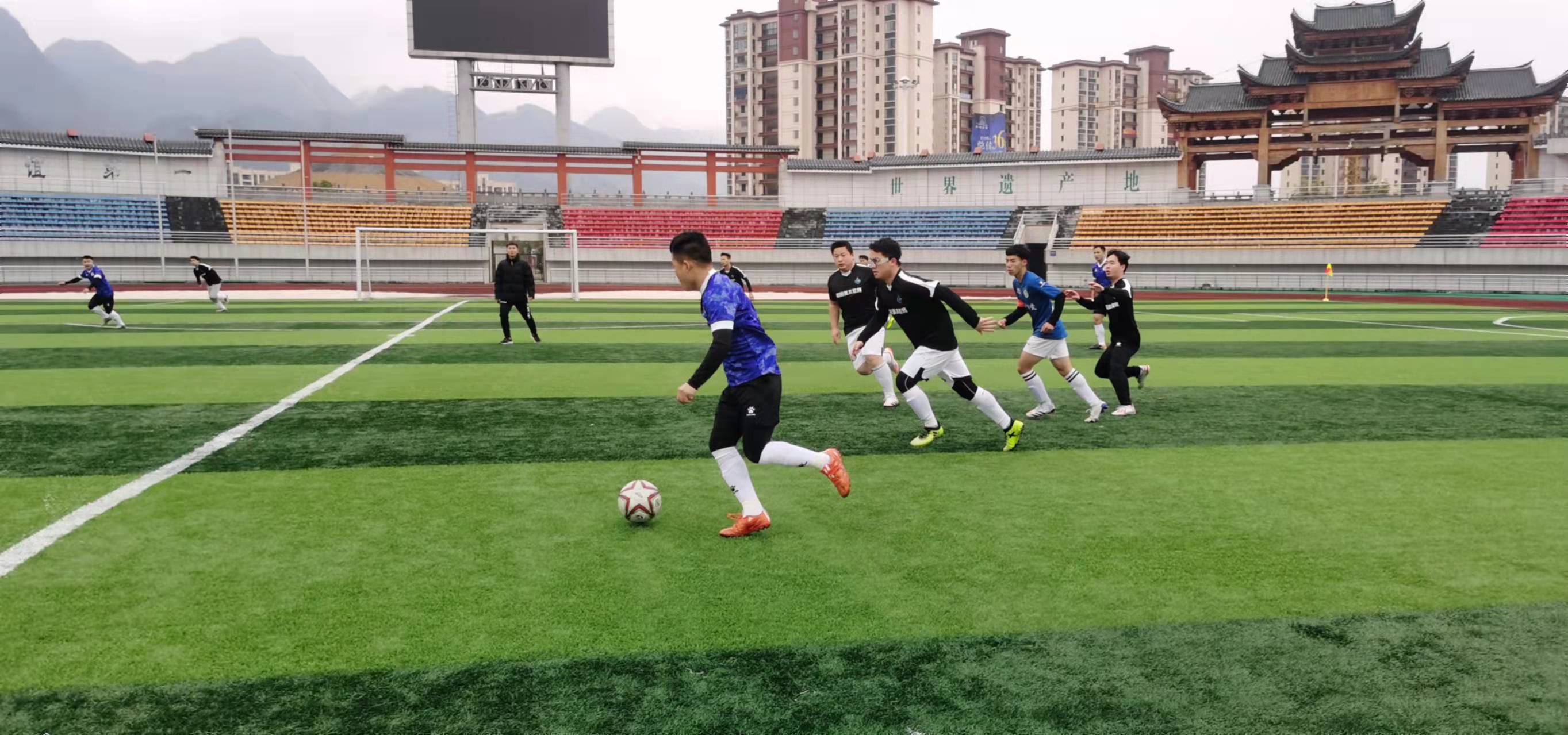 都能掌握主 都能掌握主