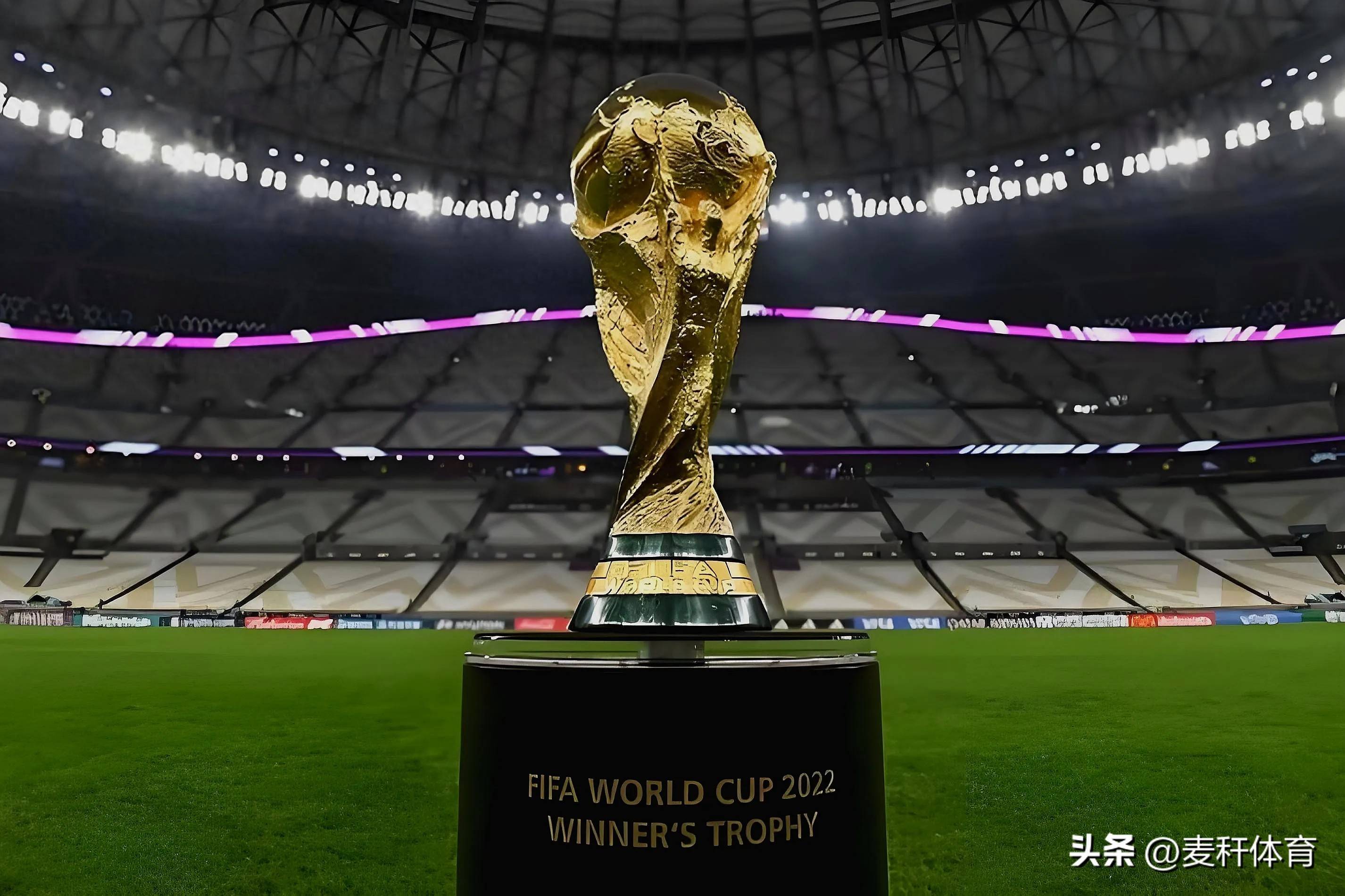 讨论与思考 讨论与思考