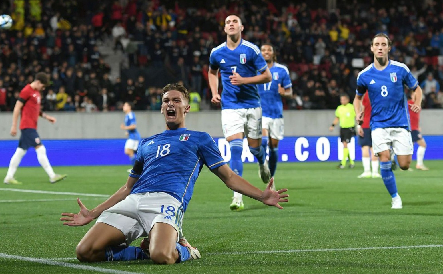 稳健的价值 稳健的价值